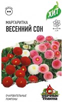 Маргаритка Весенний сон*, смесь 0,01 г ХИТ х3 DHп 1999949122