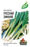 Лук батун Русский зимний 0,5 г ХИТ х3 1999945551