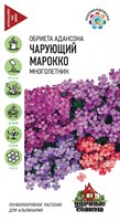 Обриета Чарующий Марокко* 0,05 г Уд. с. 10002706