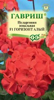 Пеларгония Горизонт алый F1 зональная *4 шт. 992565990