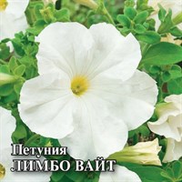 Петуния Лимбо Вайт крупноцв. 100 шт.* сер. Профи 1071856165