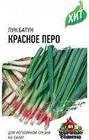 Лук на зелень Красное перо 0,5 г ХИТ х3 1999945553