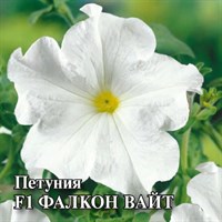 Петуния Фалкон Вайт F1 крупноцв. 100 шт. пробирка сер. Профи 1071856172