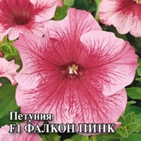 Петуния Фалкон Пинк F1 крупноцв. 100 шт. пробирка сер. Профи 1071856176