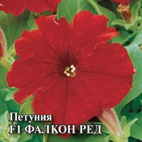 Петуния Фалкон Ред F1 крупноцв. 100 шт. пробирка сер. Профи 1071856179