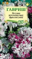 Петуния Яромнерже (Фриллитуния ) бахр. 7 шт. пробирка 1071856383