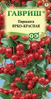 Пираканта Ярко-красная 5 шт. 1912237648