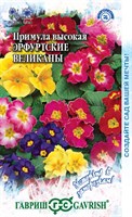 Примула Эрфуртские великаны* 20 шт. серия Устойчив к заморозкам! 00003320