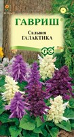 Сальвия Галактика*, карликовая, смесь 6 шт. 1071858175