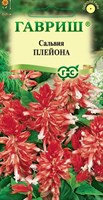 Сальвия Плейона* карликовая  4 шт. 1071858186