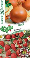 Лук репч. Бычок 0,5 г+Земляника Александрия 0,03 г серия Дуэт Хорошие соседи 1999948861