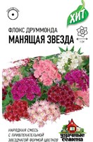 Флокс Манящая звезда, Друммонда* 0,05 г ХИТ х3 1999947173