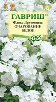 Флокс Очарование белое, Друммонда* 0,05 г 10006770