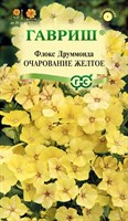 Флокс Очарование желтое, Друммонда* 0,05 г DH 10006771