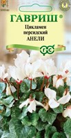 Цикламен Анели персидский* 3 шт. 002485