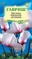 Цикламен Арлекин персидский* 3 шт. 002486