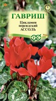 Цикламен Ассоль персидский* 3 шт. 002489