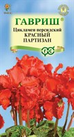 Цикламен Красный партизан персидский* 3 шт. 001184