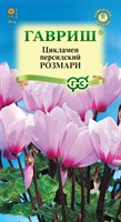 Цикламен Розмари персидский* 3 шт. 002491