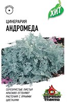 Цинерария Андромеда (приморская)* 0,05 г ХИТ х3 1071858313