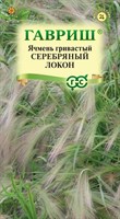 Ячмень гривастый Серебряный локон 0,1 г Н24 1071861014