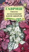 Гипоэстес Капли акварели* 4 шт. 1071857512