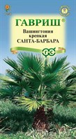 Вашингтония крепкая Санта-Барбара 3 шт. DH 10005782