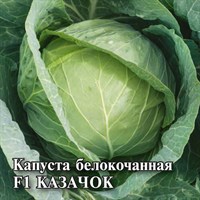 Капуста белокоч. Казачок F1 10,0 г ранняя 1026996732