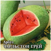 Арбуз Чарльстон Грей 25,0 г 1071858467