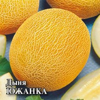 Дыня Южанка 25,0 г 1999944116