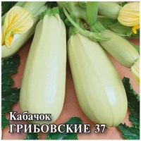 Кабачок Грибовские 37  25,0 г 1026996719