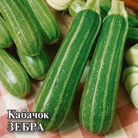 Кабачок Зебра  25,0 г 1026996723