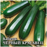 Кабачок Черный красавец  25,0 г 1026996724