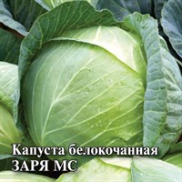 Капуста белокоч. Заря МС  10 г (ранняя) DH 1071862927