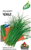 Лук шнитт Чемал, на зелень 0,5 г ХИТ х3 191224173