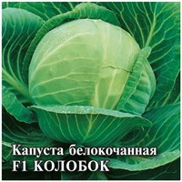 Капуста белокоч. Колобок F1 10,0 г для хранения 1026996733