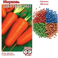 Морковь гранулир. Шантенэ 2461 300 шт. гель 002065