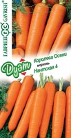 Морковь Королева Осени 2,0 г+Нантская 4 2,0 г серия Дуэт Н21 1026999151