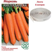 Морковь на ленте Амстердамска  8 м 00001700