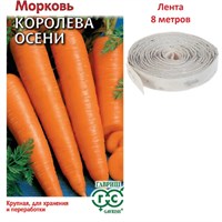 Морковь на ленте Королева осени  8 м 000357