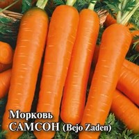 Морковь Самсон 25,0 г (Голландия) 10005419