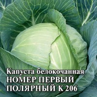 Капуста белокоч. Номер первый полярный К 206 10 г (ранняя) DH 1071862931