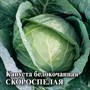 Капуста белокоч. Скороспелая 100 г (ранняя) DH 1071862938 - фото 117