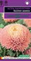 Астра Баллон шамоа, однолетняя (густомахровая)* 0,05  г серия Эксклюзив Н23 1071856722 - фото 2660