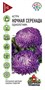 Астра Ночная серенада, однолетняя (пионовидная) 0,3 г Уд. с. 10002716 - фото 2753