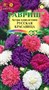 Астра Русская красавица, смесь однолетняя (воронежская) 0,3 г Н21 107001288 - фото 2795