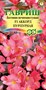 Бегония Аккорд Пурпурная F1 вечноцв. гранул. 4 шт. пробирка 1071857185 - фото 2943