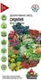 Декоративная смесь среднерос. многолет. Сицилия 0,1 г Уд. с. 10004145 - фото 3332