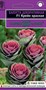Капуста декоративная Крейн красная* F1 серия Эксклюзив 6 шт. 1071858742 - фото 3435