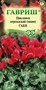 Цикламен Габи персидский* 3 шт. 002490 - фото 4268